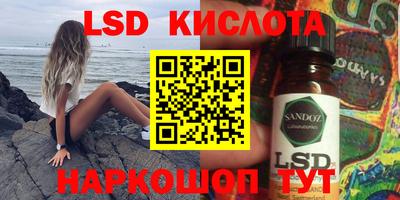 гидра Бердск