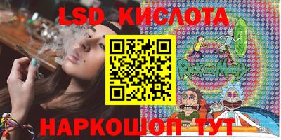 гидра Бердск