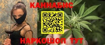 гидра Бердск