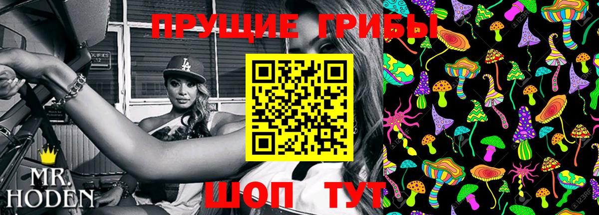 Похвистнево  Псилоцибиновые грибы Cubensis  Вход с VPN 