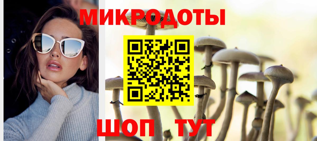 Галлюциногенные грибы мицелий Похвистнево